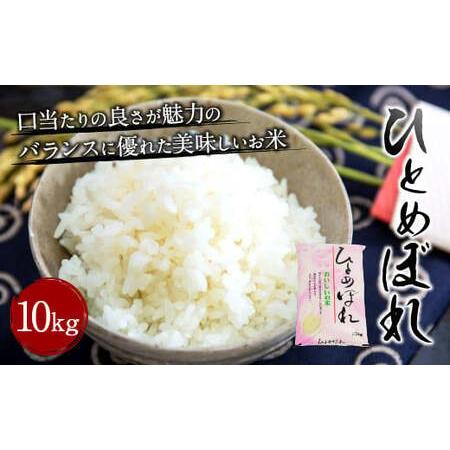 ふるさと納税  大分県産 ひとめぼれ 10kg 精米 お米 大分県竹田市