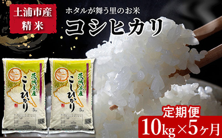 令和5年産新米　土浦市産コシヒカリ　精米10kg　ホタルが舞う里のお米 ※離島への配送不可