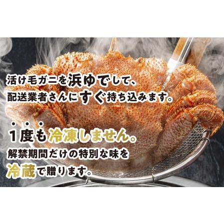 ふるさと納税 ＜2024年1月から順次発送＞ 北海道産 かに 浜ゆで 毛ガニ 2尾 計 600g 以上 ＜ 予約商品 ＞ 毛ガニ 毛がに かに 北海道 毛ガニ.. 北海道新ひだか町