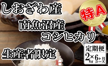 生産者限定 契約栽培 南魚沼しおざわ産コシヒカリ