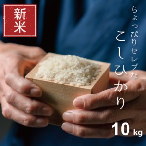 新米 米 お米 10kg ちょっぴりセレブな コシヒカリ 国内産 令和5年産 5kg×2袋 こしひかり