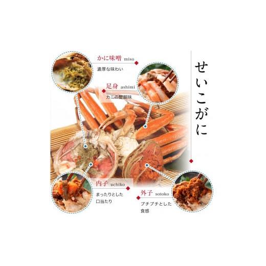 ふるさと納税 福井県 福井市  ボイル済 越前せいこ蟹／セコガニ（メス） 120〜150g×2杯 [A-088039]