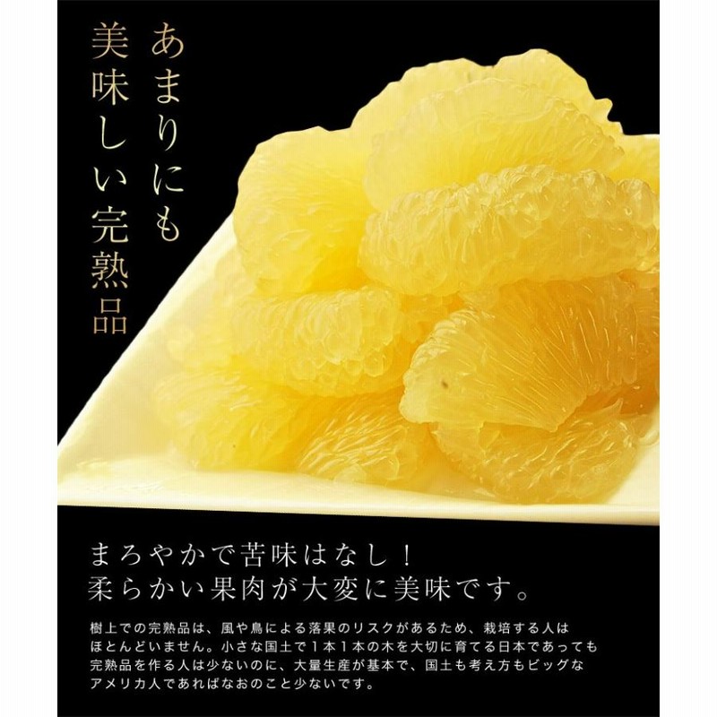 送料無料》カリフォルニア産 ゴールデンオロブロンコ 8〜9玉 約3kg frt