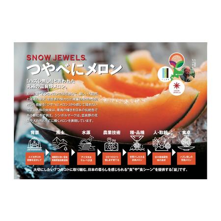 ふるさと納税  先行受付 北海道 富良野産 赤肉 つやべに メロン 4〜5玉 箱 8kg以上 (ふらの 丸山農園) 北海道富良野市