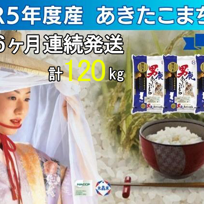 定期便 無洗米 令和5年産 あきたこまち 20kg 5kg×4袋 6ヶ月連続発送（合計 120kg） 秋田食糧卸販売