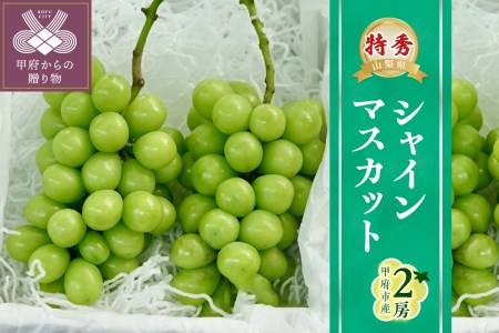 〈2024年度配送分〉Inakakara「特秀品シャインマスカット」2房