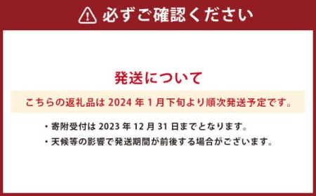 熊本県産 デコポン (ハウス) 約3kg ミカン みかん 蜜柑