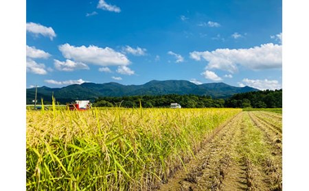 米食味鑑定士厳選新庄産ミルキークイーン（精米）5kg 米 お米 おこめ 山形県 新庄市 F3S-1301