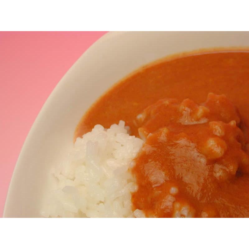 愛媛松山 CLUBHOUSE中須賀 The Curry 中辛 200g ５０個入り