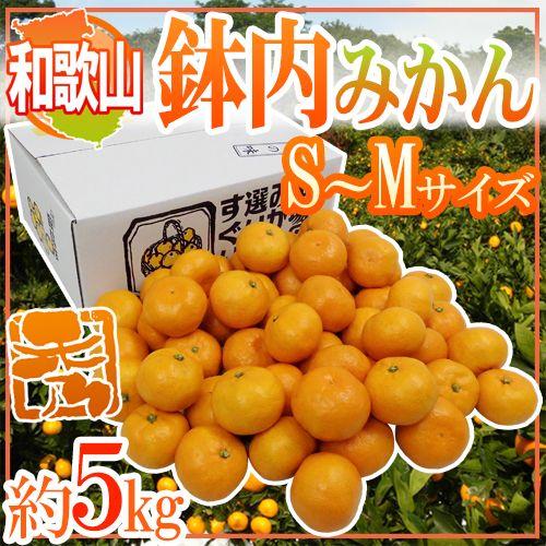 みかん 和歌山・有田産 ”鉢内みかん” 秀品 S〜Mサイズ 約5kg はちうちみかん 送料無料