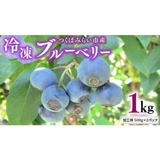 ふるさと納税 茨城県 つくばみらい市  つくばみらい市 産 冷凍 ブルーベリー 1kg 500g ×2パック 国産 農薬無使用 自…