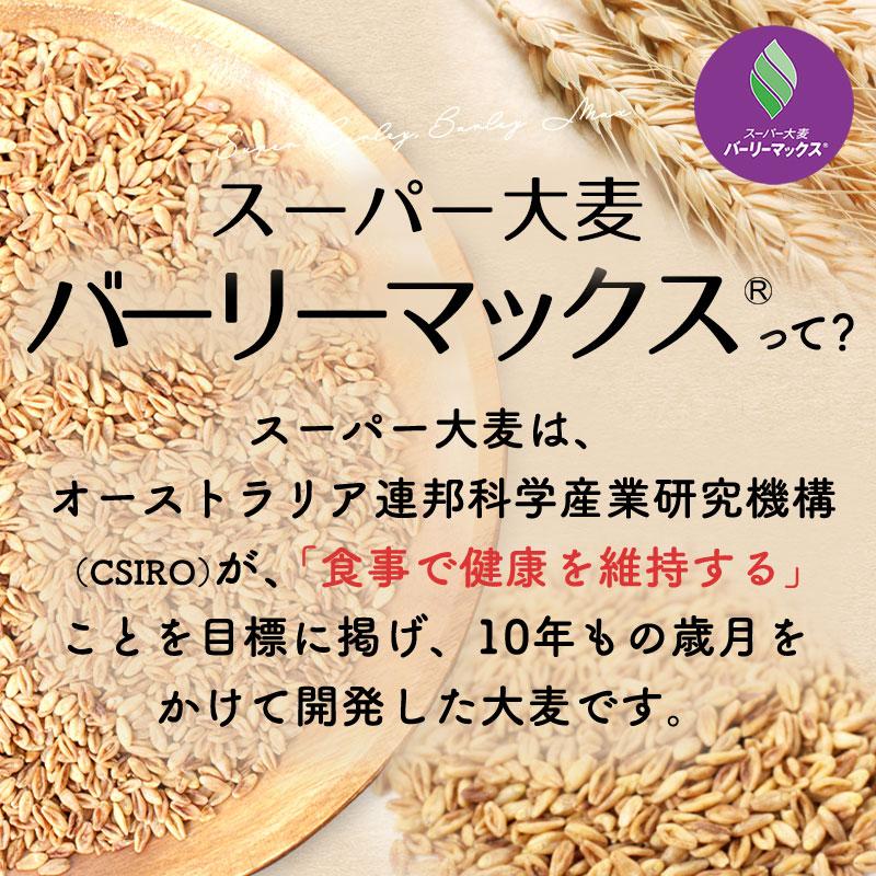 スーパー大麦 バーリーマックス 900g 送料無料 腸活 レジスタントスターチ β-グルカン フルクタン