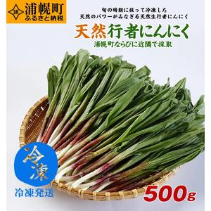 ふるさと納税 冷凍天然行者にんにく500g 旬の時期に収穫し冷凍 北海道浦幌町