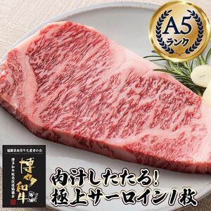 ふるさと納税 肉汁したたる 極上 サーロインステーキ 1枚 200g 博多和牛A5ランク 福岡県福岡市