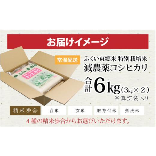 ふるさと納税 福井県 福井市 令和5年産 ふくい東郷米 特別栽培米 減農薬 コシヒカリ 3kg×2袋[A-020008_04]