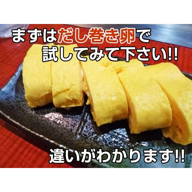 だしパック 珀色のだし24袋×10袋セット 絶品厳選国産素材使用 出汁パック だしパック だし 調味料