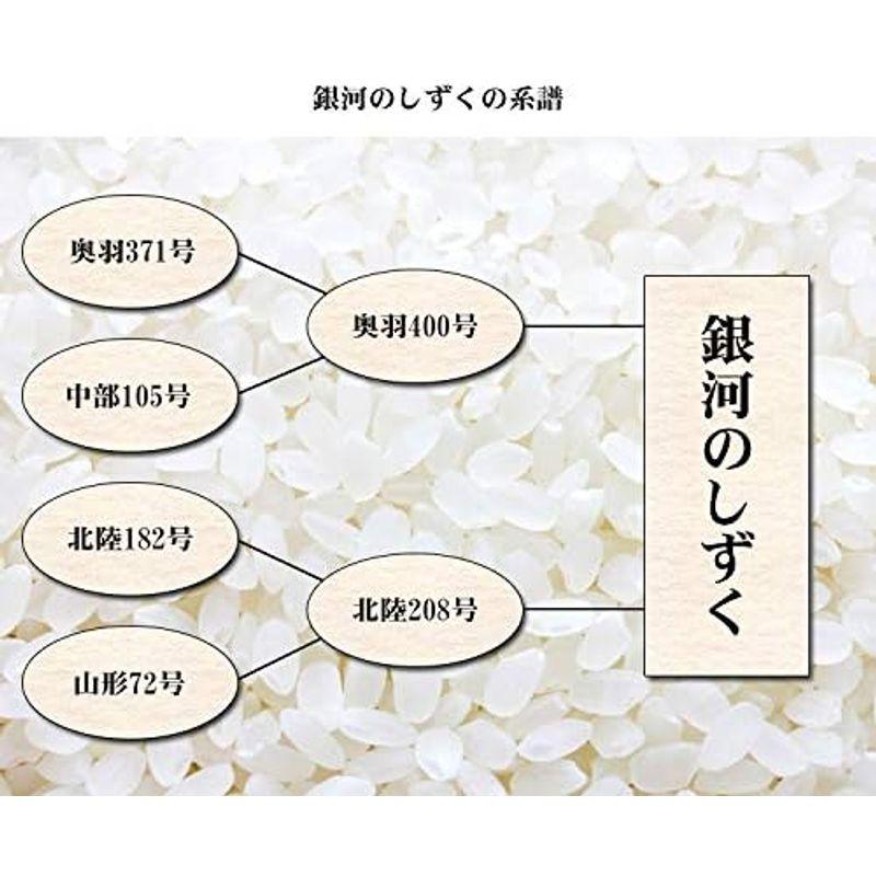 精米新米 岩手県 白米 銀河のしずく 5kgx2 令和3年産