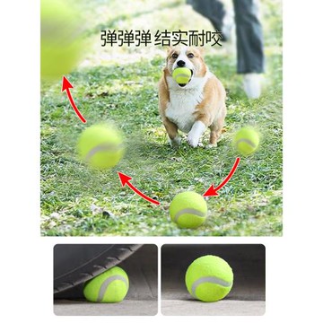 網球狗狗玩具球耐咬磨牙解悶發聲咬膠大小型犬自嗨繩結寵物用品