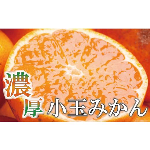 ふるさと納税 和歌山県 広川町 ＜先行予約＞家庭用 小玉な有田みかん5.5kg 165g（傷み補償分） 蜜柑 オレンジ 柑橘 …