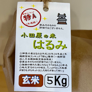 志村屋米穀店 令和5年産新米小田原市産　はるみ(玄米) 5kg　＜出荷時期：10月中旬より順次出荷開始＞