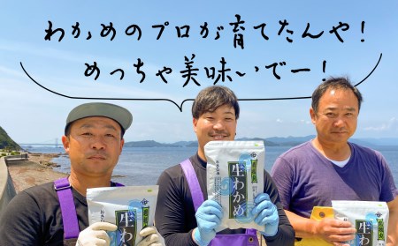 湯通し塩蔵わかめ300ｇ×2袋