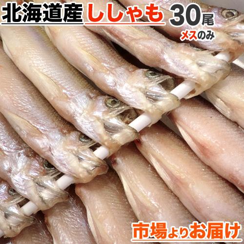 北海道産 本ししゃも メス30尾 送料0円 本物ししゃも ししゃも シシャモ Shishamo 柳葉魚 道産ししゃも 干物 魚 肴 お正月 お歳暮