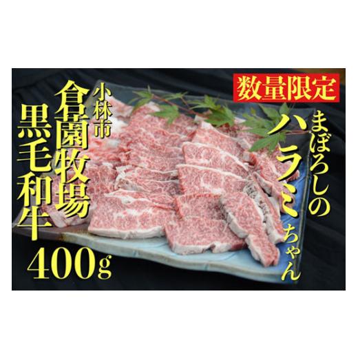 ふるさと納税 宮崎県 小林市 小林市産黒毛和牛まぼろしのハラミちゃん