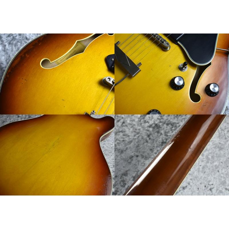 Eastman T-64VT 《Golden Burst》S N P2300440