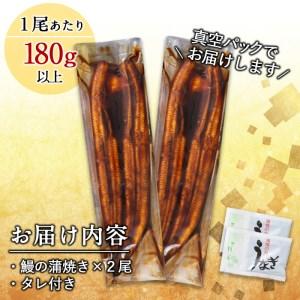 ふるさと納税 くすだ屋の極上うなぎ 2尾(180g×2)＜計360g以上＞ a6-015 鹿児島県志布志市