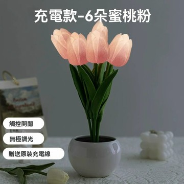 OSLE 新年生日禮物女生送閨蜜朋友實用的郁金香氛圍臺燈夜燈小眾高級感