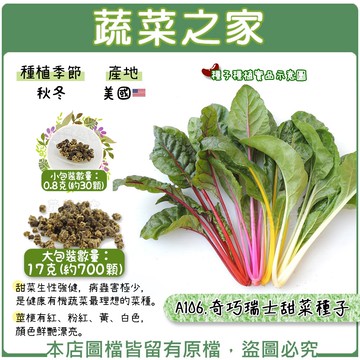 【蔬菜之家】A106.奇巧瑞士甜菜種子(共有2種包裝可選)