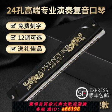 【台灣公司 可開發票】天鵝追夢人24孔復音口琴德國進口音簧珍藏版演奏級送禮樂器