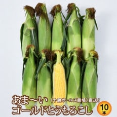 先行受付直送 朝もぎつぶつぶ「あま～いゴールドとうもろこし」10本