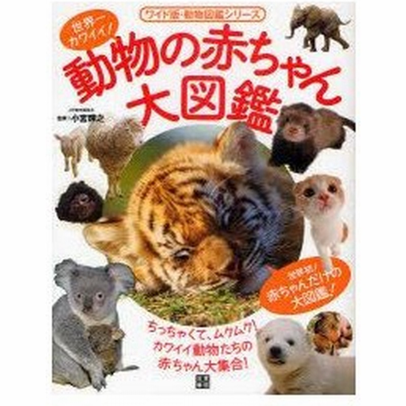 新品本 世界一カワイイ 動物の赤ちゃん大図鑑 小宮輝之 監修 通販 Lineポイント最大0 5 Get Lineショッピング