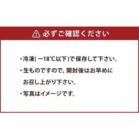 ふるさと納税 とらふぐ刺しセット（1人前×2皿）ふぐ刺し ふぐ 熊本県上天草市