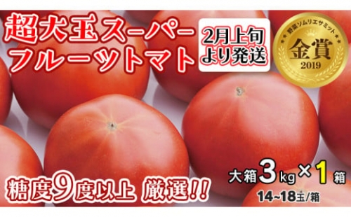  超大玉 スーパーフルーツトマト 大箱 約2.8kg × 1箱 （14～18玉 1箱） 糖度9度以上 トマト とまと 野菜 [BC011sa]