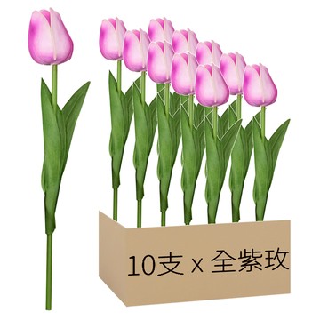 仿真鬱金香 34cm 12g  全紫玫  10支
