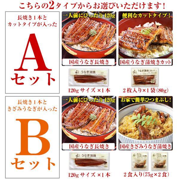 うなぎ 蒲焼き 国産 選べる2種 ウナギ 鰻 蒲焼 送料無料 ギフト お歳暮 御歳暮