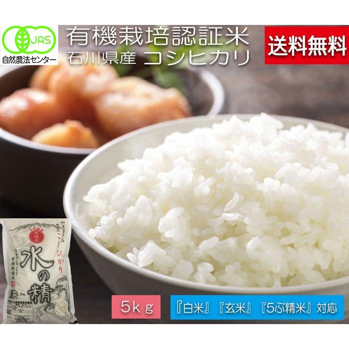 令和5年産 新米 無農薬 有機米 コシヒカリ 白米 5ｋｇ 水の精 JAS認定 自然農法