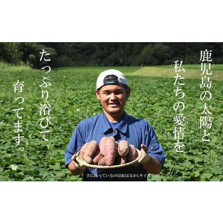 ふるさと納税 さつまいも 熟成 紅はるか 鹿児島県産 2.5kg 500g × 5袋 SSサイズ 先行予約 2024年1月より順次発送 鹿児島県南大隅町