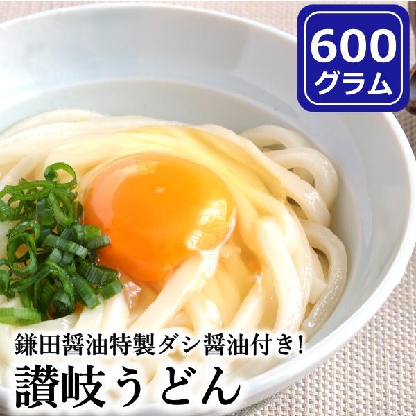 讃岐うどん 6食分 600g（300g×2袋） 鎌田醤油特製ダシ醤油6袋付 香川 本場 讃岐 生うどん 老舗製麺所直送