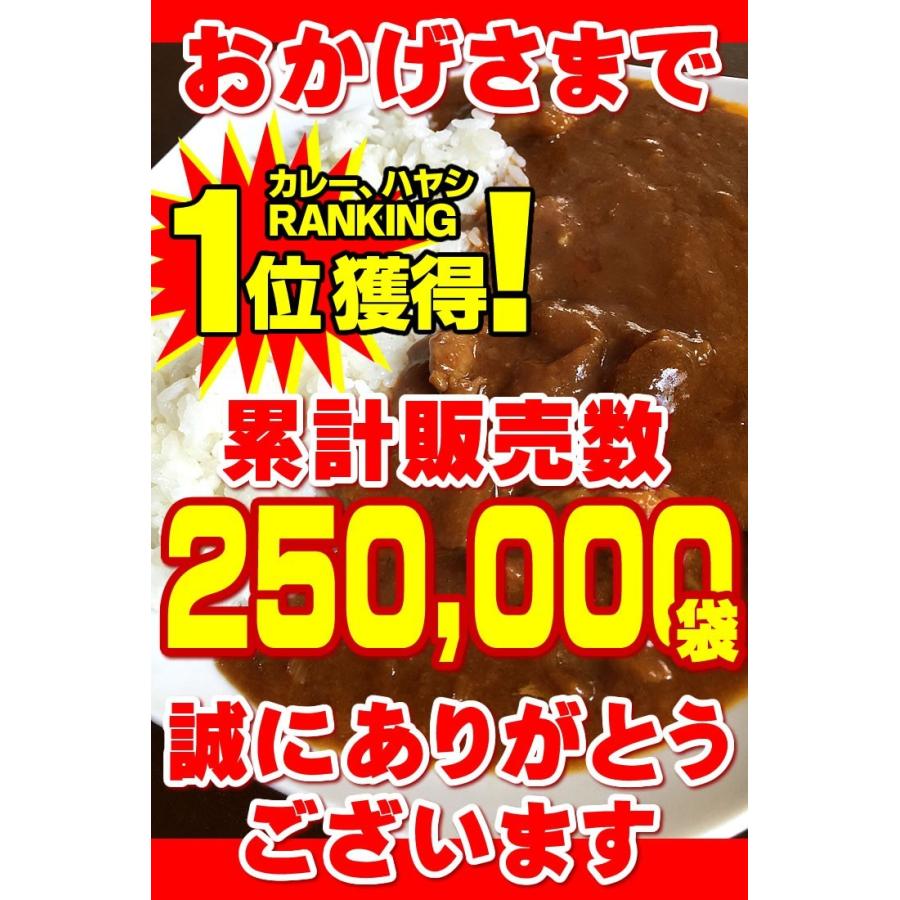 牛すじカレー 3袋 100％国産 牛すじ たまねぎ使用 中辛 惣菜 レトルト 送料無料 非常食 おつまみ 珍味 牛肉 ご飯のお供 贅沢