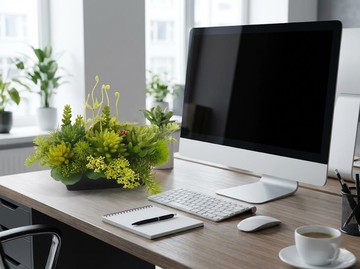 拾光角落多肉石蓮香氛植物/入厝禮/開幕/喬遷/送禮/植栽