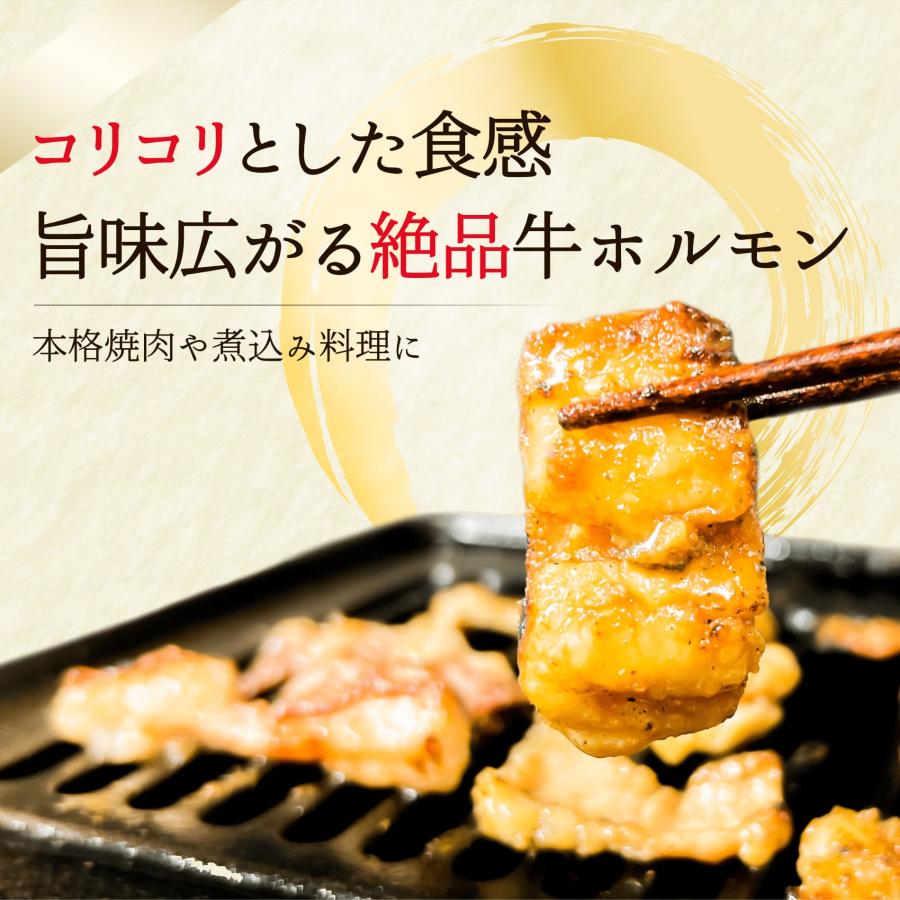 牛 ホルモン 豪州産 焼肉 もつ鍋 シマチョウ 1.2kg 送料無料 テッチャン 大腸 牛肉 焼き肉 煮込み 鍋 お肉 ギフト 内祝い ホルモン鍋