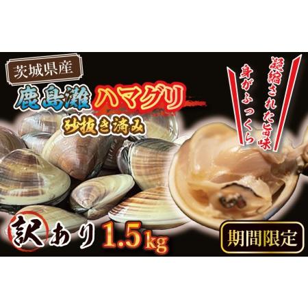 ふるさと納税  期間限定 鹿島灘 ハマグリ 訳あり 1.5kg 砂抜き済み はまぐり 蛤 わけあり 国産 天然 茨城県産 鹿島灘産 .. 茨城県大洗町