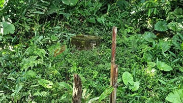 大溪信義70(A)｜桃園市大溪區信義段
