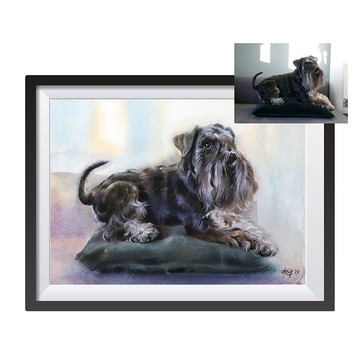 藝術家 Irina Zhunaeva 的定制原創水彩寵物肖像畫