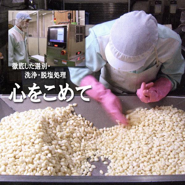 無臭にんにく　梅辰株式会社 静岡市　うめしん梅にんにく200g　100g×2袋