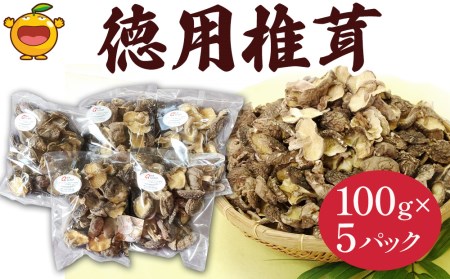 乾燥椎茸 訳あり 椎茸100g×5パック 干し椎茸 しいたけ 乾燥しいたけ 原木 大分県 津久見市 九州産野菜