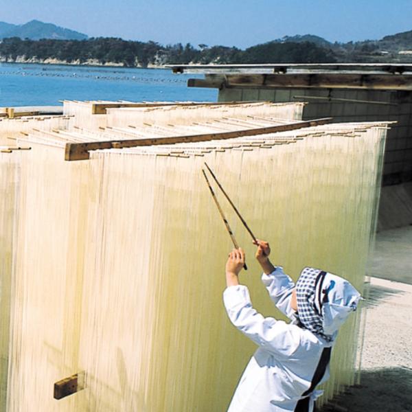 オリーブそうめん オリーブ素麺 島の光 ギフト 1.25kｇ